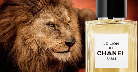 chanel le lion dupe|chanel perfume review.